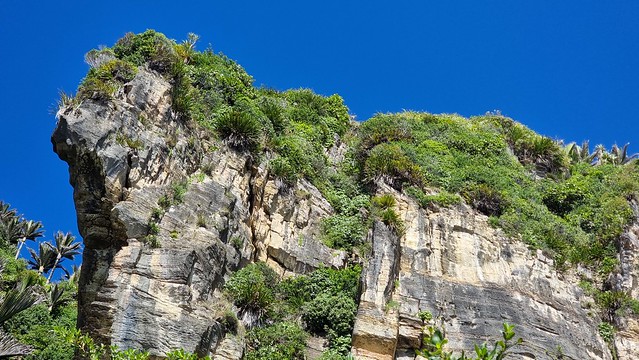Great Coast Road | Punakaiki to Charleston