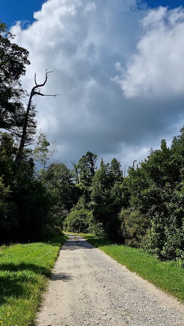 Bullock Creek Rd, Punakaiki