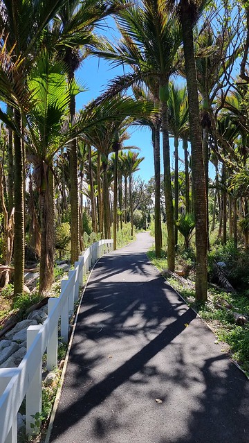 Punakaiki bike path