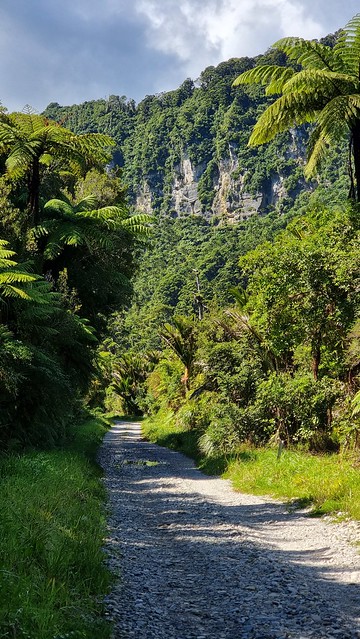 Bullock Creek Rd, Punakaiki