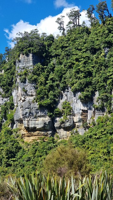 Bullock Creek Rd, Punakaiki
