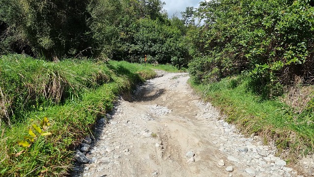 Bullock Creek Rd, Punakaiki