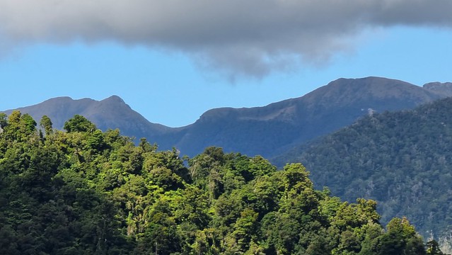 Bullock Creek Rd, Punakaiki