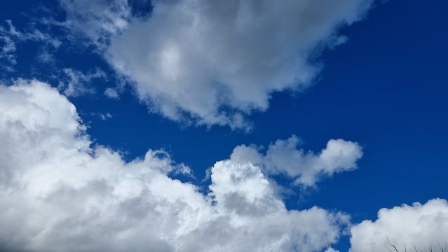 Bullock Creek Rd, Punakaiki