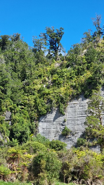 Bullock Creek Rd, Punakaiki