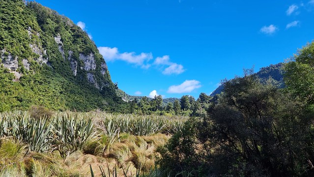 Bullock Creek Rd, Punakaiki