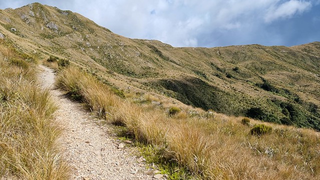 Papāroa Track Ces Clark to Moonlight Tops Hut
