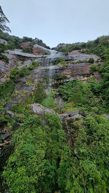 Papāroa Track Moonlight Tops to Pororari Hut