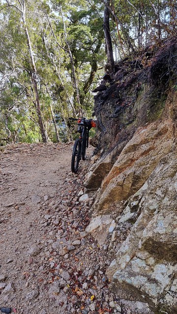 Papāroa Track Moonlight Tops to Pororari Hut