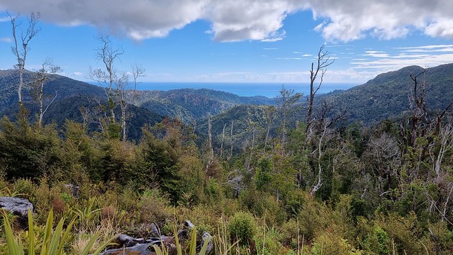Pororari Hut view towards Punakaiki