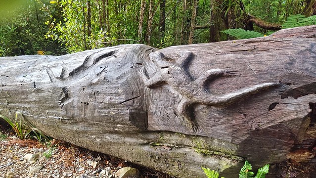 Papāroa Track Pororari Hut to Punakaiki