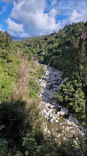 Papāroa Track Pororari Hut to Punakaiki