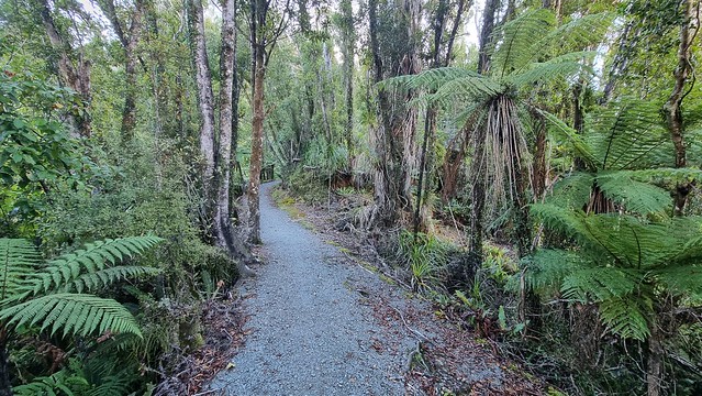 Papāroa Track Pororari Hut to Punakaiki