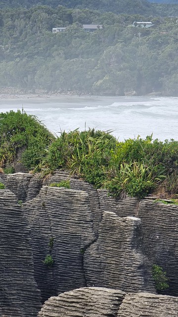 Punakaiki Pancake Rocks view to my cottage, on the left