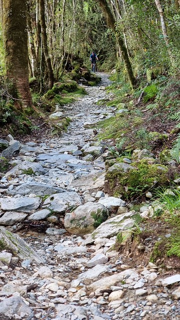 The climb to Ces Clark Hut is rough!