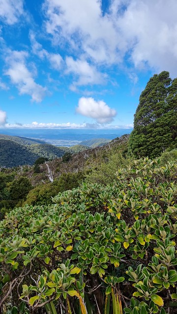 Looking back to Blackball