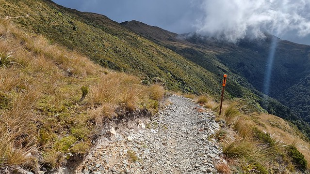 Papāroa Track Ces Clark to Moonlight Tops Hut