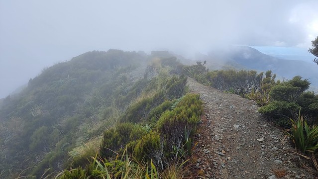 Papāroa Track Ces to Moonlight Tops Hut