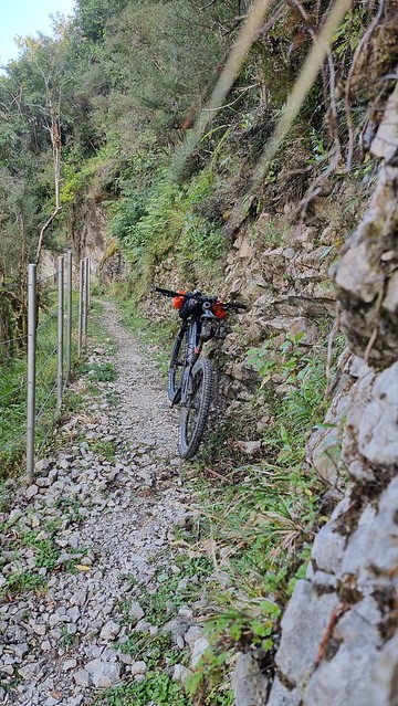 Papāroa Track Pororari Hut to Punakaiki