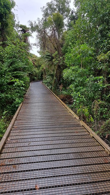 Unexpected bush section