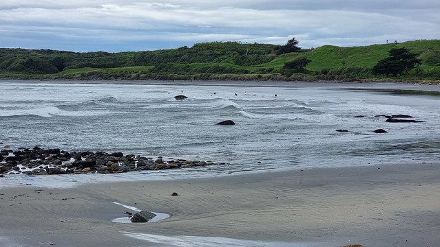 Tauranga Bay surf school