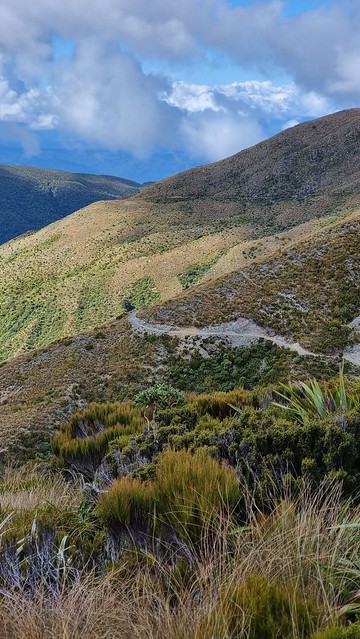 Papāroa Track Ces to Moonlight Tops Hut