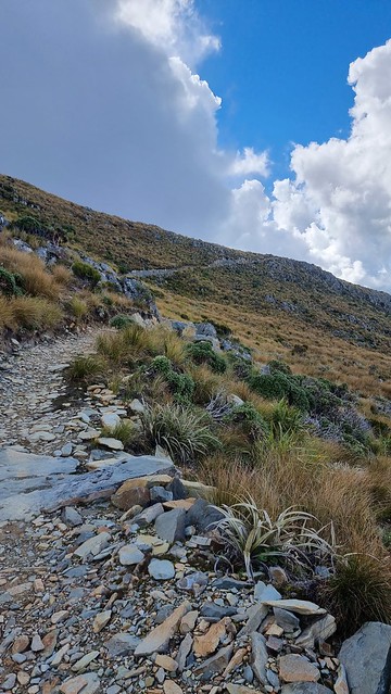 Papāroa Track Ces to Moonlight Tops Hut