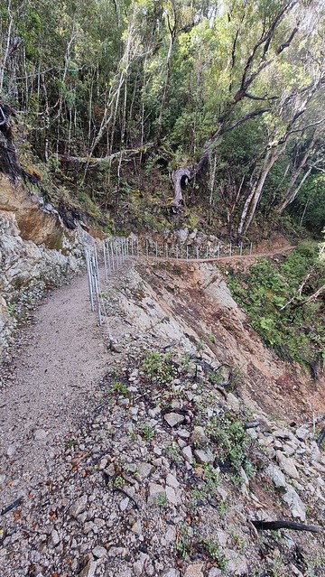 Papāroa Track Moonlight Tops to Pororari Hut