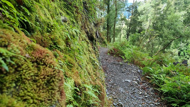 Papāroa Track Pororari Hut to Punakaiki