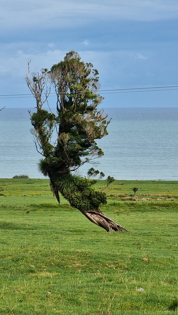 Coast Road Punakaiki to Blackball