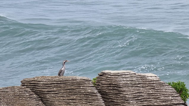 Punakaiki Pancake Rocks