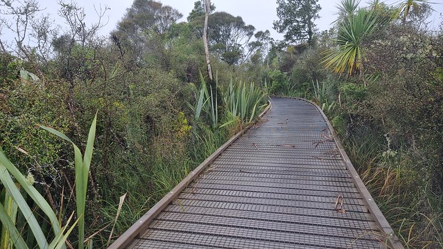 Nice wide boardwalks, but be careful when damp