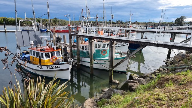 Kawatiri (Buller) River fleet