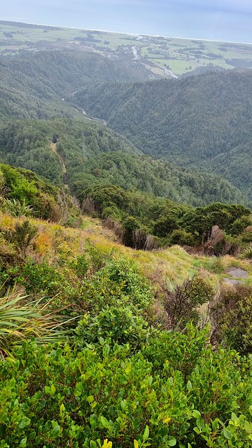 The quick way down...