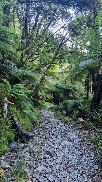 Smooth bit of the climb to Ces Clark Hut