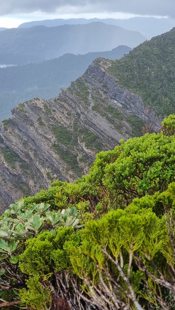Papāroa Track Moonlight Tops to Pororari Hut