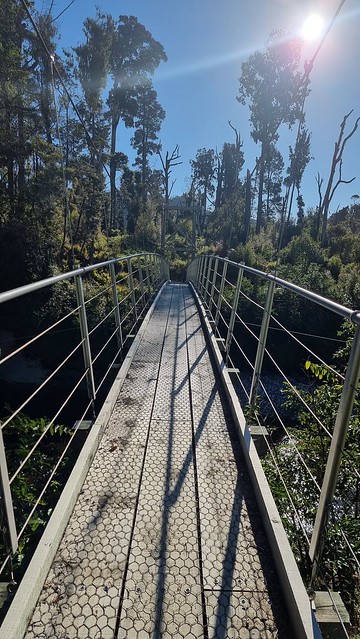 Papāroa Track Pororari Hut to Punakaiki