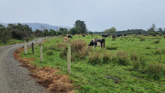 Used to bikes already, my presence hardly noticed