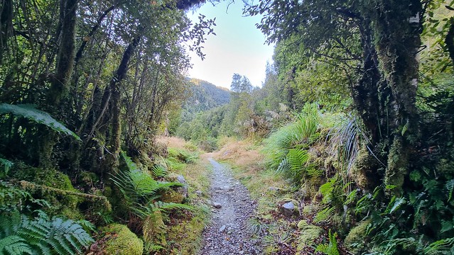 Papāroa Track climb to Ces Clark Hut