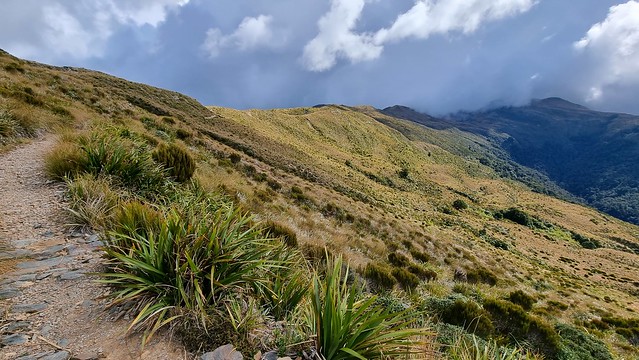 Papāroa Track Ces Clark to Moonlight Tops Hut