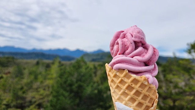 Charleston Ice Cream