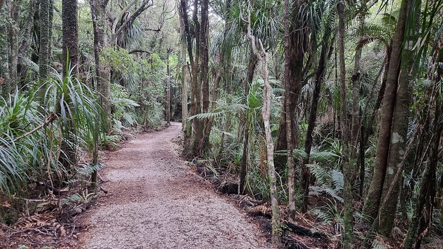 Cape Foulwind towards Tauranga Bay