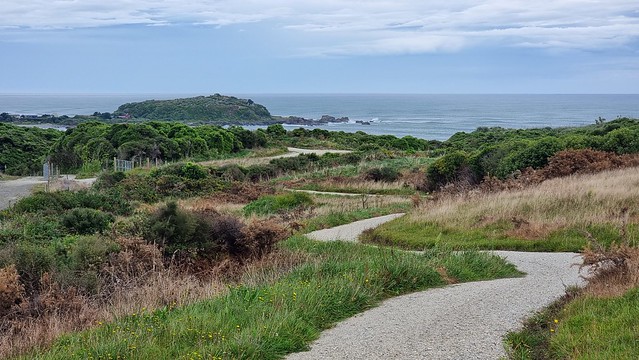 Towards Tauranga Bay