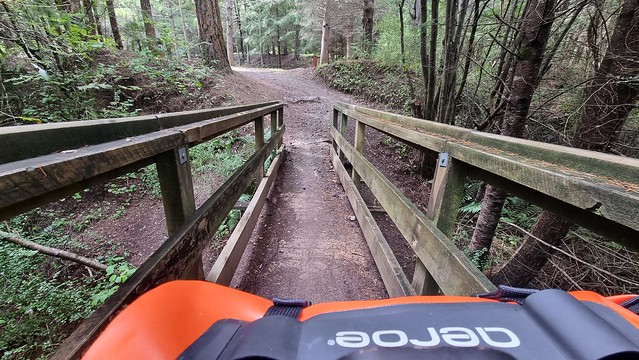 Hanmer Springs Forest Trails