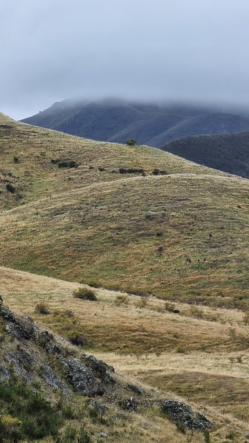 The mist covered mountains...