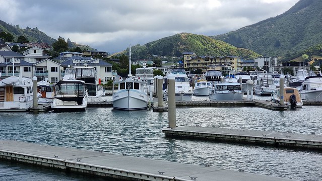 My Picton base, Harbour View Motel (top centre)