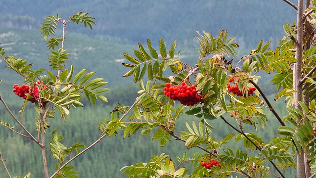 Jollies Pass near Hanmer Springs