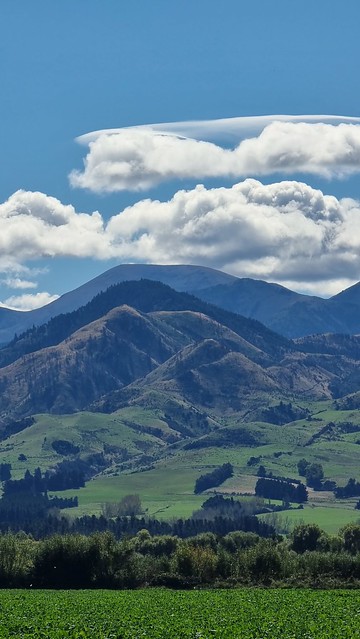 Rotherham Road views