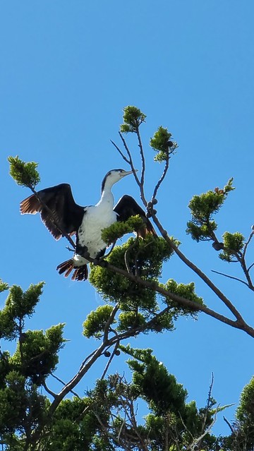 South Bay, Kaikoura