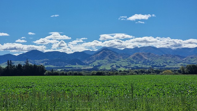 Rotherham Road views